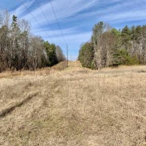 Photo of SOLD!!  253 Acres of Farm and Timber Land For Sale in Orange County NC!