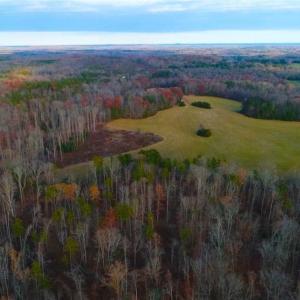 Photo of SOLD!!  253 Acres of Farm and Timber Land For Sale in Orange County NC!