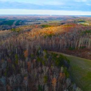 Photo of SOLD!!  253 Acres of Farm and Timber Land For Sale in Orange County NC!