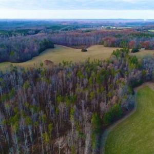 Photo of SOLD!!  253 Acres of Farm and Timber Land For Sale in Orange County NC!