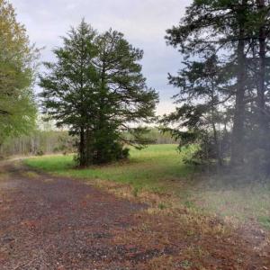 Photo of SOLD!!  39 Acres of Residential Hunting Land For Sale in Halifax County VA!