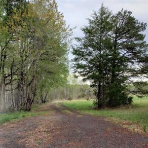 Photo of SOLD!!  39 Acres of Residential Hunting Land For Sale in Halifax County VA!