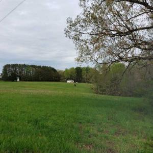 Photo of SOLD!!  39 Acres of Residential Hunting Land For Sale in Halifax County VA!