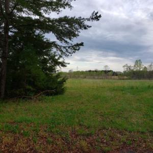 Photo of SOLD!!  39 Acres of Residential Hunting Land For Sale in Halifax County VA!