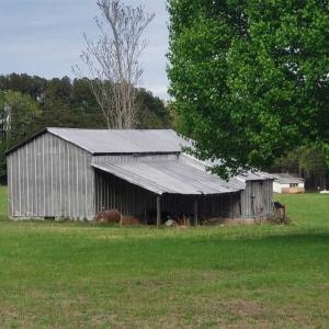 Photo of SOLD!!  39 Acres of Residential Hunting Land For Sale in Halifax County VA!
