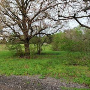 Photo of SOLD!!  39 Acres of Residential Hunting Land For Sale in Halifax County VA!
