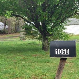 Photo of SOLD!!  39 Acres of Residential Hunting Land For Sale in Halifax County VA!