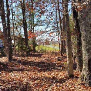 Photo of SOLD!!  39 Acres of Residential Hunting Land For Sale in Halifax County VA!