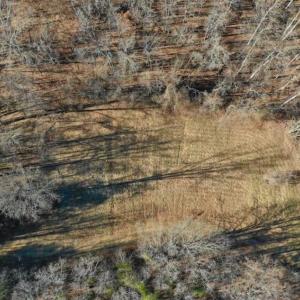 Photo of UNDER CONTRACT!!  68 Acres of Hunting and Recreational Land For Sale in Botetourt Co VA!