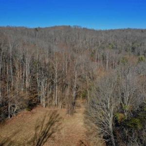 Photo of UNDER CONTRACT!!  68 Acres of Hunting and Recreational Land For Sale in Botetourt Co VA!