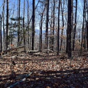 Photo of UNDER CONTRACT!!  68 Acres of Hunting and Recreational Land For Sale in Botetourt Co VA!