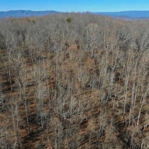 Photo of UNDER CONTRACT!!  68 Acres of Hunting and Recreational Land For Sale in Botetourt Co VA!