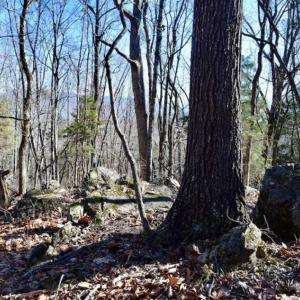 Photo of UNDER CONTRACT!!  68 Acres of Hunting and Recreational Land For Sale in Botetourt Co VA!