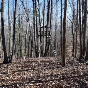 Photo of UNDER CONTRACT!!  68 Acres of Hunting and Recreational Land For Sale in Botetourt Co VA!