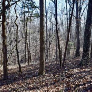 Photo of UNDER CONTRACT!!  68 Acres of Hunting and Recreational Land For Sale in Botetourt Co VA!