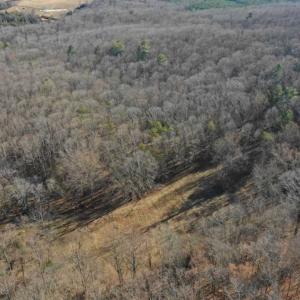 Photo of UNDER CONTRACT!!  68 Acres of Hunting and Recreational Land For Sale in Botetourt Co VA!