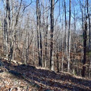 Photo of UNDER CONTRACT!!  68 Acres of Hunting and Recreational Land For Sale in Botetourt Co VA!