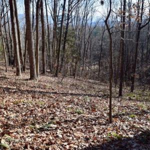 Photo of UNDER CONTRACT!!  68 Acres of Hunting and Recreational Land For Sale in Botetourt Co VA!