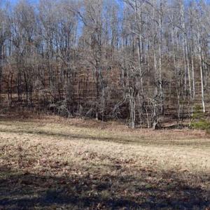 Photo of UNDER CONTRACT!!  68 Acres of Hunting and Recreational Land For Sale in Botetourt Co VA!