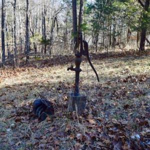 Photo of UNDER CONTRACT!!  68 Acres of Hunting and Recreational Land For Sale in Botetourt Co VA!