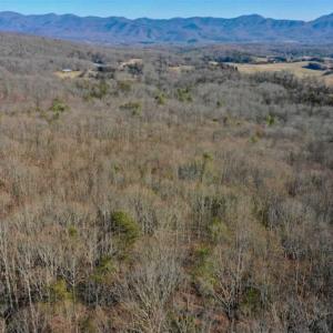 Photo of UNDER CONTRACT!!  68 Acres of Hunting and Recreational Land For Sale in Botetourt Co VA!