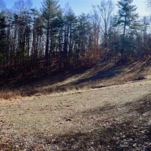 Photo of UNDER CONTRACT!!  68 Acres of Hunting and Recreational Land For Sale in Botetourt Co VA!