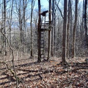 Photo of UNDER CONTRACT!!  68 Acres of Hunting and Recreational Land For Sale in Botetourt Co VA!