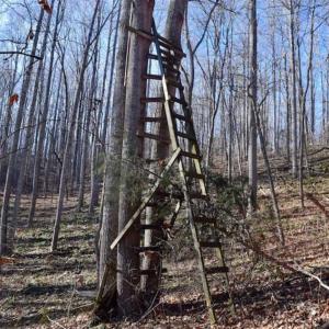 Photo of UNDER CONTRACT!!  68 Acres of Hunting and Recreational Land For Sale in Botetourt Co VA!