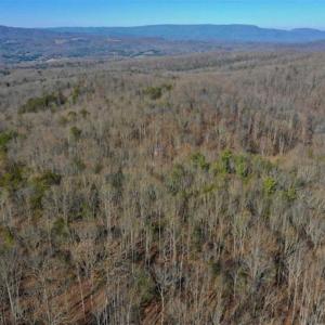 Photo of UNDER CONTRACT!!  68 Acres of Hunting and Recreational Land For Sale in Botetourt Co VA!