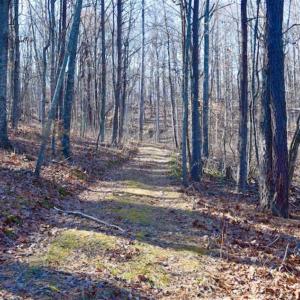 Photo of UNDER CONTRACT!!  68 Acres of Hunting and Recreational Land For Sale in Botetourt Co VA!