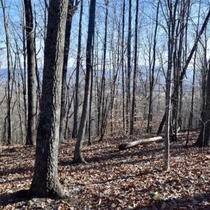 Photo of UNDER CONTRACT!!  68 Acres of Hunting and Recreational Land For Sale in Botetourt Co VA!