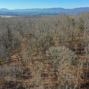 Photo of UNDER CONTRACT!!  68 Acres of Hunting and Recreational Land For Sale in Botetourt Co VA!
