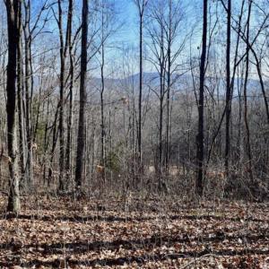 Photo of UNDER CONTRACT!!  68 Acres of Hunting and Recreational Land For Sale in Botetourt Co VA!