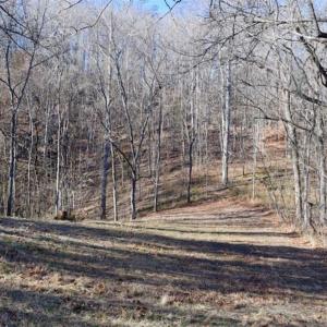 Photo of UNDER CONTRACT!!  68 Acres of Hunting and Recreational Land For Sale in Botetourt Co VA!