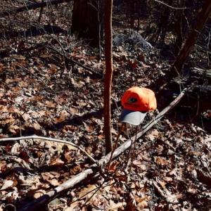 Photo of UNDER CONTRACT!!  68 Acres of Hunting and Recreational Land For Sale in Botetourt Co VA!