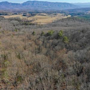 Photo of UNDER CONTRACT!!  68 Acres of Hunting and Recreational Land For Sale in Botetourt Co VA!