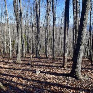 Photo of UNDER CONTRACT!!  68 Acres of Hunting and Recreational Land For Sale in Botetourt Co VA!