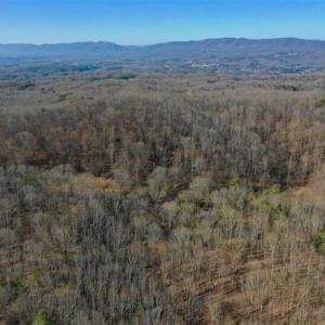 Photo of UNDER CONTRACT!!  68 Acres of Hunting and Recreational Land For Sale in Botetourt Co VA!