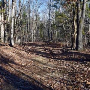 Photo of UNDER CONTRACT!!  68 Acres of Hunting and Recreational Land For Sale in Botetourt Co VA!