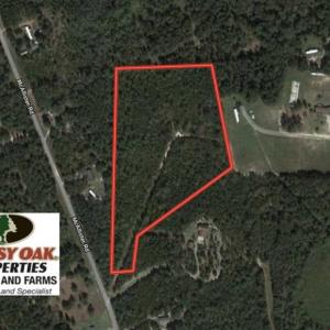 Photo of UNDER CONTRACT!!  12.25 Acres of Hunting Land For Sale in Scotland County NC!