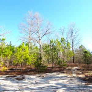 Photo of UNDER CONTRACT!!  12.25 Acres of Hunting Land For Sale in Scotland County NC!