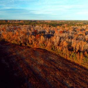 Photo of UNDER CONTRACT!!  115 Acres of Hunting Land For Sale in Columbus County NC!