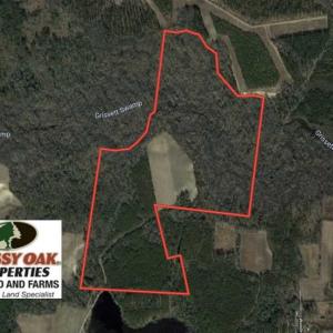 Photo of UNDER CONTRACT!!  115 Acres of Hunting Land For Sale in Columbus County NC!