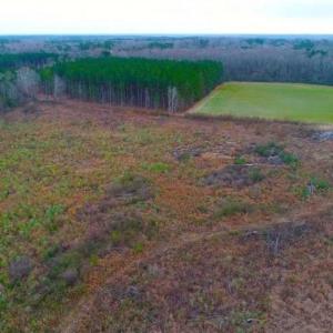 Photo of REDUCED!  18.7 Acres of Residential Land for Sale in Nash County NC!