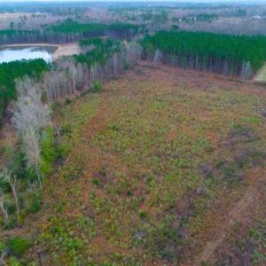 Photo of REDUCED!  18.7 Acres of Residential Land for Sale in Nash County NC!