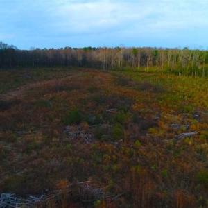 Photo of REDUCED!  18.7 Acres of Residential Land for Sale in Nash County NC!