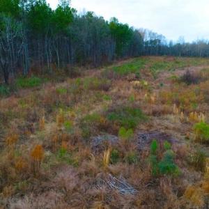 Photo of REDUCED!  18.7 Acres of Residential Land for Sale in Nash County NC!