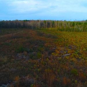 Photo of REDUCED!  18.7 Acres of Residential Land for Sale in Nash County NC!