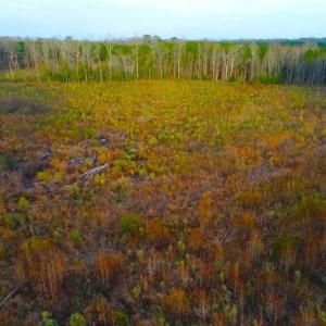 Photo of REDUCED!  18.7 Acres of Residential Land for Sale in Nash County NC!