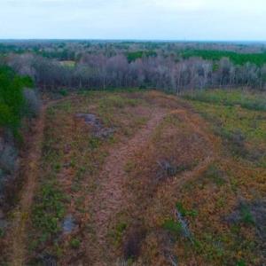Photo of REDUCED!  18.7 Acres of Residential Land for Sale in Nash County NC!